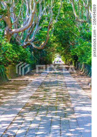 進入清酒行尼崎神社 106494869