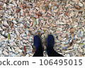 The feet of a man wearing colored sneakers stood on the ground of a dry leaf. 106495015