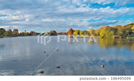 Mizumoto Park in autumn leaves The autumn sky reflected in the impressive water village Mizumoto Park in autumn leaves The autumn sky reflected in the impressive water village 106495099