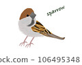 Sparrow 106495348