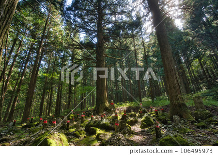 地藏菩薩居住的森林 地藏菩薩居住的森林 106495973