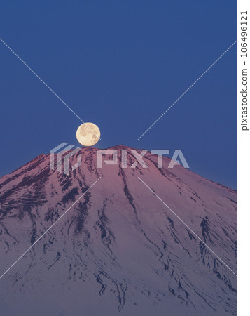 Shizuoka_Superb view of Red Fuji Pearl at dawn Shizuoka_Superb view of Red Fuji Pearl at dawn 106496121