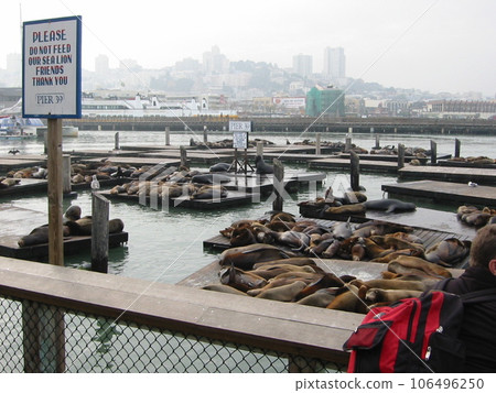San Francisco PIER39 106496250