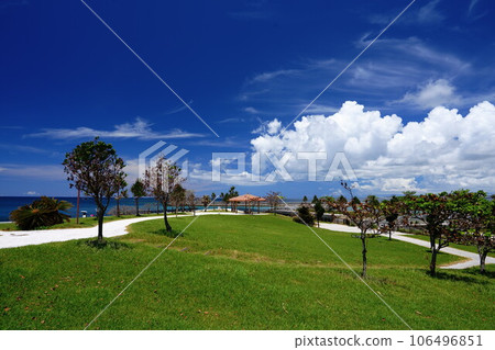 A superb view of the blue sky and white clouds from the park 106496851