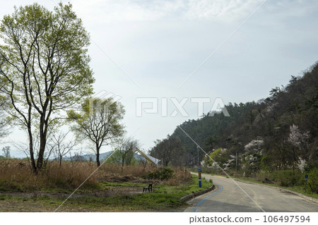 Bicycle path along Yeongsangang River 106497594