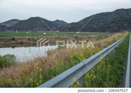 Bicycle path along Yeongsangang River 106497637
