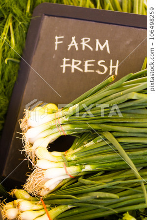 Fresh produce on sale at the local farmers market. 106498259