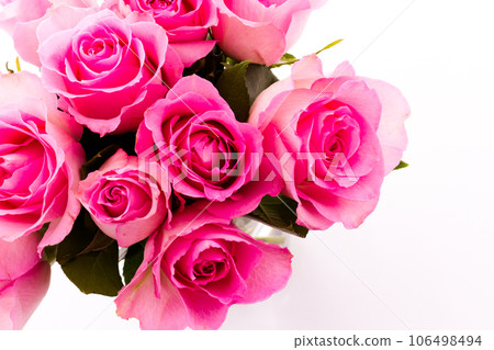 Small bouquet of fresh pink roses. 106498494