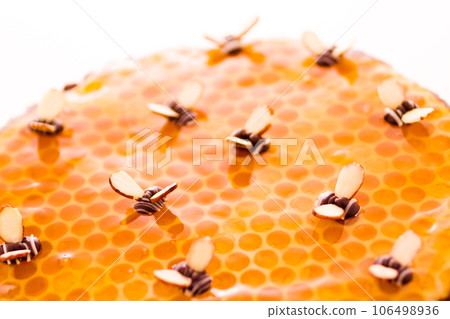 White chocolate lemon honey tart on a white background. 106498936