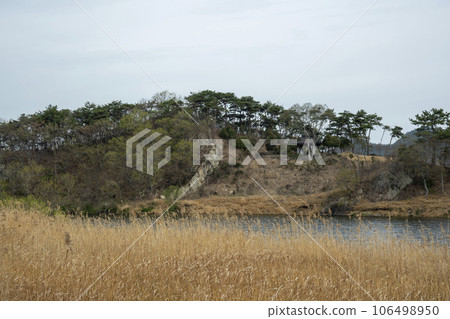 Bicycle path along Yeongsangang River Bicycle path along Yeongsangang River 106498950