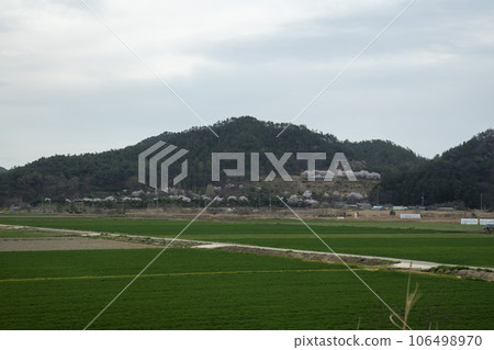 Bicycle path along Yeongsangang River 106498970