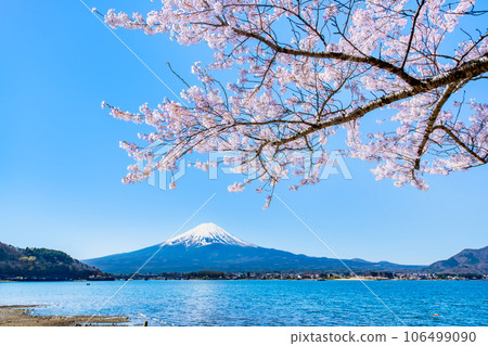 櫻花與富士山～河口湖盛開的櫻花～ 106499090