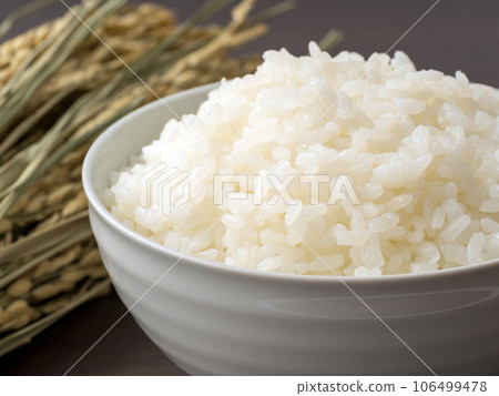 新手圖。米飯和米飯。 新手圖。米飯和米飯。 106499478