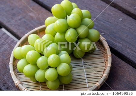 陽光馬斯喀特 鳥取縣北榮町 106499856