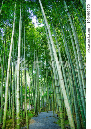 Kyoto Enkoji Temple Kyoto Enkoji Temple 106499970