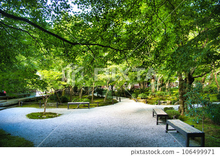 Kyoto Enkoji Temple 106499971