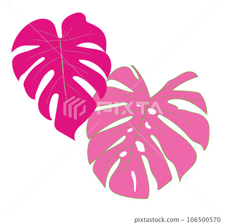 cute Pink Monstera - Stock Illustration [106500570] - PIXTA