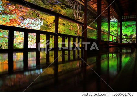 Rurikoin special viewing illumination Rurikoin special viewing illumination 106501703