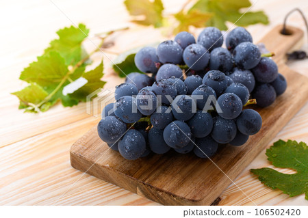When it comes to the taste of autumn, grapes (grape) Kyoho grapes Seedless Kyoho grapes Fruits Shine Muscat When it comes to the taste of autumn, grapes (grape) Kyoho grapes Seedless Kyoho grapes Fruits Shine Muscat 106502420