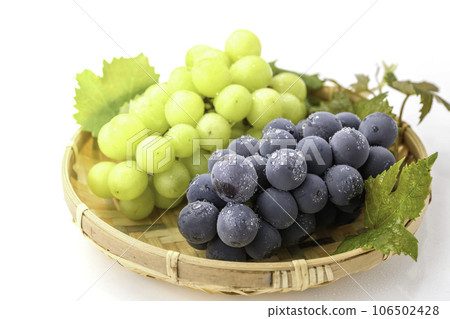 When it comes to the taste of autumn, grapes (grape) Kyoho grapes Seedless Kyoho grapes Fruits Shine Muscat 106502428