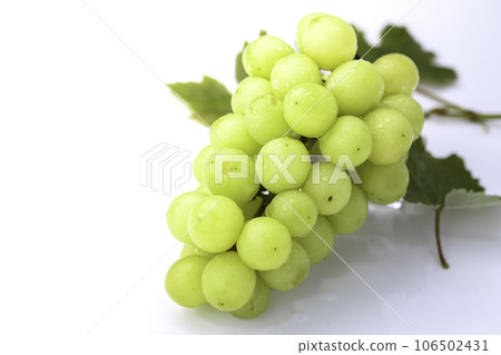 When it comes to the taste of autumn, grapes (grape) Kyoho grapes Seedless Kyoho grapes Fruits Shine Muscat When it comes to the taste of autumn, grapes (grape) Kyoho grapes Seedless Kyoho grapes Fruits Shine Muscat 106502431