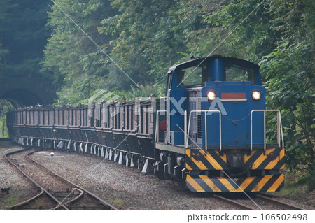 Iwate Development Railway DD56 106502498