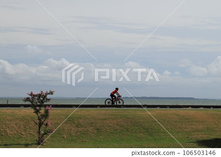 筑波霞浦環路、霞浦步崎公園 筑波霞浦環路、霞浦步崎公園 106503146