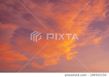 Trend color background 106503150