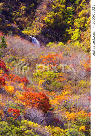 小牧平的紅葉風景（宮城縣藏王町） 106503323