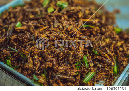 Fried insects, Bugs fried on Street food in thailand Fried insects, Bugs fried on Street food in thailand 106503684