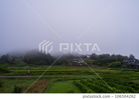 日本岡山縣真庭市美麗的鄉村早晨 106504262