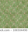 Ancient Asian 106504490