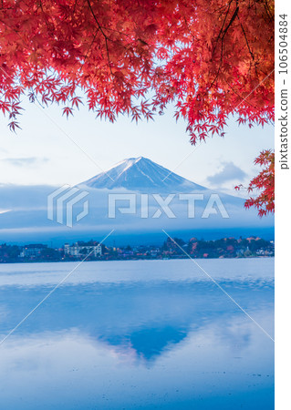 (Yamanashi Prefecture) Autumn leaves on the shore of Lake Kawaguchi and Mt. Fuji in the morning (Yamanashi Prefecture) Autumn leaves on the shore of Lake Kawaguchi and Mt. Fuji in the morning 106504884
