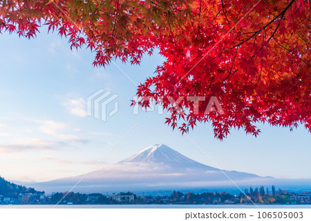 (山梨縣)早晨河口湖畔和富士山的紅葉 (山梨縣)早晨河口湖畔和富士山的紅葉 106505003