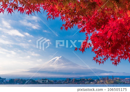 (Yamanashi Prefecture) Maple autumn leaves and Mt. Fuji on the shores of Lake Kawaguchi 106505175