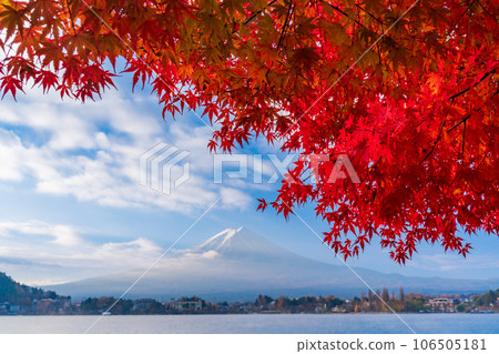 (Yamanashi Prefecture) Maple autumn leaves and Mt. Fuji on the shores of Lake Kawaguchi 106505181