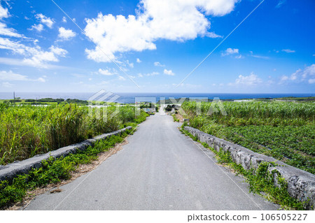通往大海的路 通往大海的路 106505227
