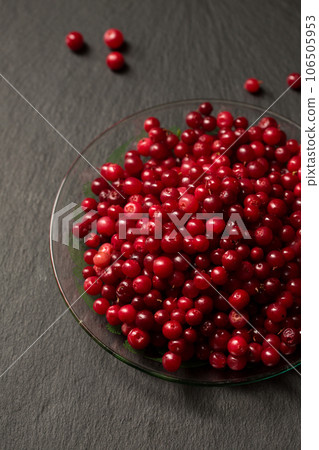 delicious ripe lingonberries on a dark background 106505953