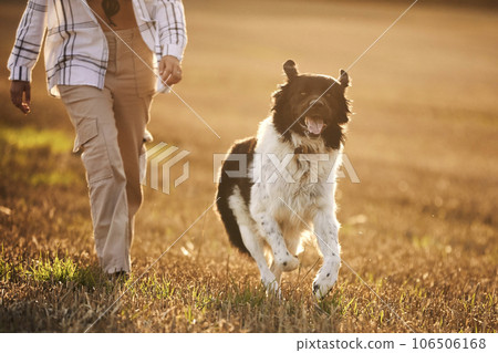 Happy dog running with his pet owner across field . Happy dog running with his pet owner across field . 106506168