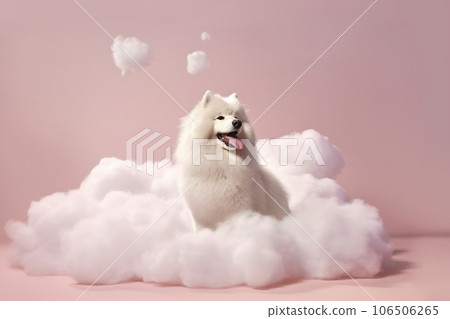 Cute white dog with fluffy fur. Pet, grooming, salon, minimal background with copy space Cute white dog with fluffy fur. Pet, grooming, salon, minimal background with copy space 106506265