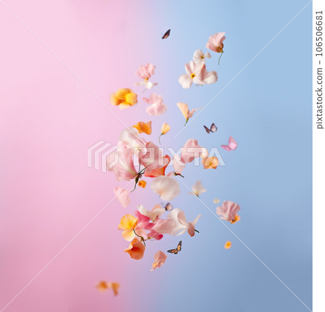 Spring Flower Air Beautiful spring flowers flying in the air,... - Stock Illustration ...