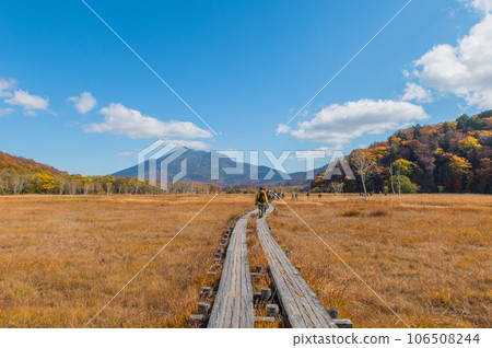 Burning autumn Oze colored with colored leaves 106508244