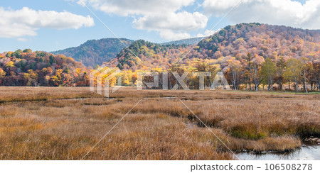 Burning autumn Oze colored with colored leaves 106508278