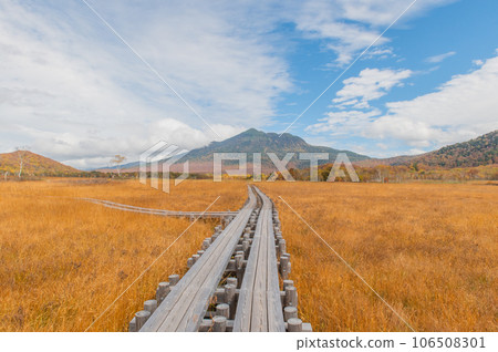 用紅葉著色的燃燒的秋天尾瀨 用紅葉著色的燃燒的秋天尾瀨 106508301