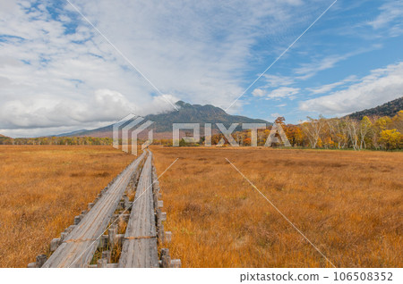 用紅葉著色的燃燒的秋天尾瀨 用紅葉著色的燃燒的秋天尾瀨 106508352