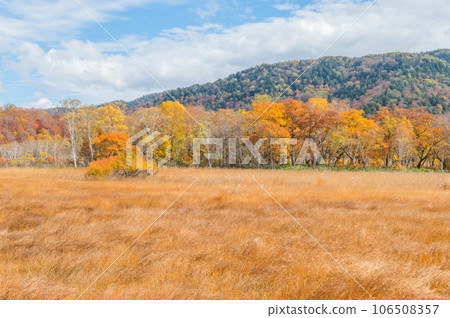 用紅葉著色的燃燒的秋天尾瀨 106508357