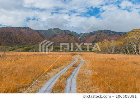 用紅葉著色的燃燒的秋天尾瀨 106508381
