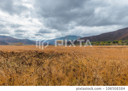 用紅葉著色的燃燒的秋天尾瀨 106508384