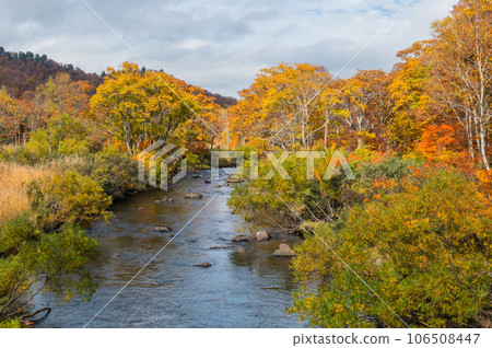 Burning autumn Oze colored with colored leaves 106508447