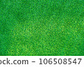 Green grass texture can be use as background 106508547
